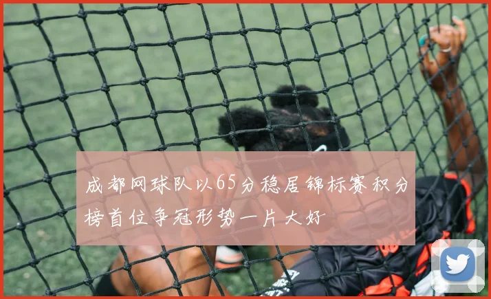 成都网球队以65分稳居锦标赛积分榜首位争冠形势一片大好