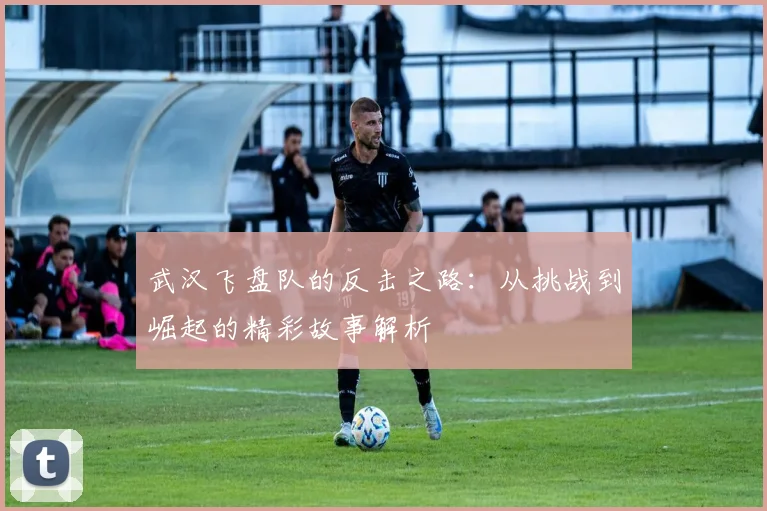 武汉飞盘队的反击之路：从挑战到崛起的精彩故事解析